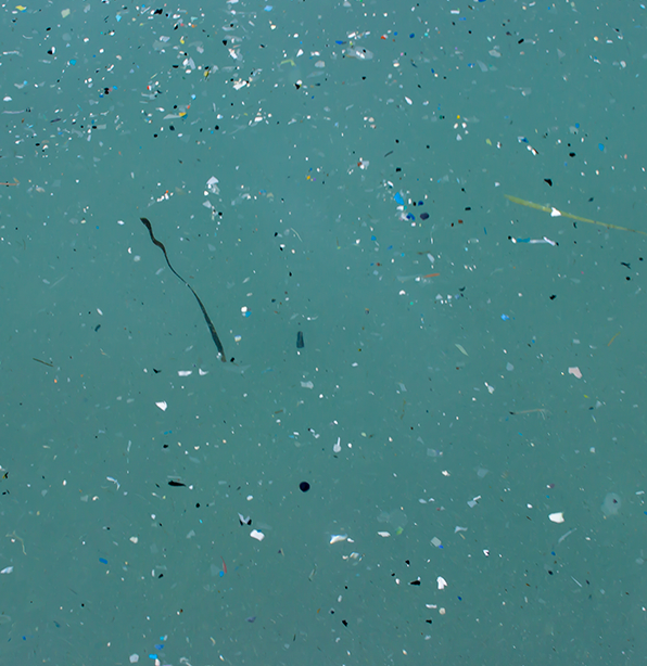 Microfibres vs. Microplastics: What everyone should know